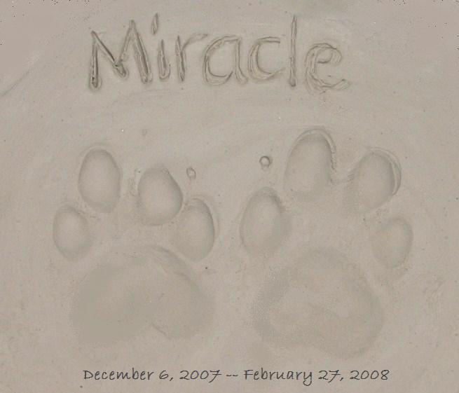 miracleprints.jpg